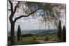 Vineyard Vista-Erin Berzel-Mounted Photographic Print