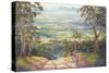 Vineyard Vista-John Bradley-Stretched Canvas