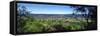 Vineyard, Wine Country, California, USA-Panoramic Images-Framed Stretched Canvas