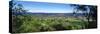 Vineyard, Wine Country, California, USA-Panoramic Images-Stretched Canvas