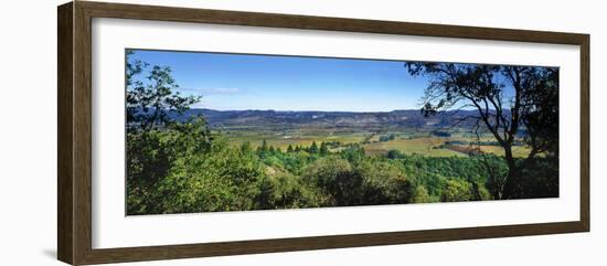 Vineyard, Wine Country, California, USA-Panoramic Images-Framed Photographic Print