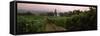 Vineyard with a Cape Dutch Style House, Vergelegen, Capetown Near Somerset West, South Africa-null-Framed Stretched Canvas