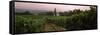 Vineyard with a Cape Dutch Style House, Vergelegen, Capetown Near Somerset West, South Africa-null-Framed Stretched Canvas