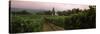 Vineyard with a Cape Dutch Style House, Vergelegen, Capetown Near Somerset West, South Africa-null-Stretched Canvas