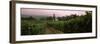 Vineyard with a Cape Dutch Style House, Vergelegen, Capetown Near Somerset West, South Africa-null-Framed Photographic Print