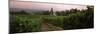 Vineyard with a Cape Dutch Style House, Vergelegen, Capetown Near Somerset West, South Africa-null-Mounted Photographic Print