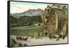Vineyard with Horse-Drawn Cart-null-Framed Stretched Canvas