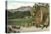 Vineyard with Horse-Drawn Cart-null-Stretched Canvas