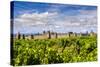 Vineyard with the Medieval Fortified Citadel Behind, Carcassonne, Languedoc-Roussillon, France-Stefano Politi Markovina-Stretched Canvas