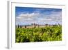 Vineyard with the Medieval Fortified Citadel Behind, Carcassonne, Languedoc-Roussillon, France-Stefano Politi Markovina-Framed Photographic Print