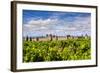 Vineyard with the Medieval Fortified Citadel Behind, Carcassonne, Languedoc-Roussillon, France-Stefano Politi Markovina-Framed Photographic Print