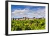 Vineyard with the Medieval Fortified Citadel Behind, Carcassonne, Languedoc-Roussillon, France-Stefano Politi Markovina-Framed Photographic Print