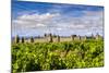 Vineyard with the Medieval Fortified Citadel Behind, Carcassonne, Languedoc-Roussillon, France-Stefano Politi Markovina-Mounted Photographic Print