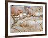 Vineyard Worker, Bodega Del Anelo Winery, Finca Roja, Anelo Region, Neuquen, Patagonia, Argentina-Per Karlsson-Framed Photographic Print