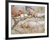 Vineyard Worker, Bodega Del Anelo Winery, Finca Roja, Anelo Region, Neuquen, Patagonia, Argentina-Per Karlsson-Framed Photographic Print