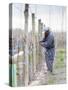 Vineyard Worker, Bodega Nqn Winery, Vinedos De La Patagonia, Neuquen, Patagonia, Argentina-Per Karlsson-Stretched Canvas