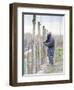 Vineyard Worker, Bodega Nqn Winery, Vinedos De La Patagonia, Neuquen, Patagonia, Argentina-Per Karlsson-Framed Premium Photographic Print