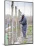 Vineyard Worker, Bodega Nqn Winery, Vinedos De La Patagonia, Neuquen, Patagonia, Argentina-Per Karlsson-Mounted Premium Photographic Print