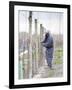 Vineyard Worker, Bodega Nqn Winery, Vinedos De La Patagonia, Neuquen, Patagonia, Argentina-Per Karlsson-Framed Photographic Print