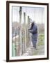 Vineyard Worker, Bodega Nqn Winery, Vinedos De La Patagonia, Neuquen, Patagonia, Argentina-Per Karlsson-Framed Photographic Print