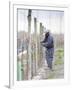 Vineyard Worker, Bodega Nqn Winery, Vinedos De La Patagonia, Neuquen, Patagonia, Argentina-Per Karlsson-Framed Photographic Print