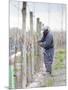 Vineyard Worker, Bodega Nqn Winery, Vinedos De La Patagonia, Neuquen, Patagonia, Argentina-Per Karlsson-Mounted Photographic Print