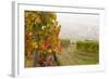 Vineyards Above Spitz an Der Danau, Wachau, Austria, Europe-Miles Ertman-Framed Photographic Print