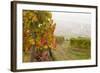 Vineyards Above Spitz an Der Danau, Wachau, Austria, Europe-Miles Ertman-Framed Photographic Print