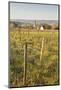 Vineyards Above the Village of Thesee, Loir-Et-Cher, France, Europe-Julian Elliott-Mounted Photographic Print