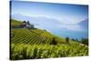 Vineyards Above Vevey, Lake Geneva, Vaud, Switzerland-Jon Arnold-Stretched Canvas