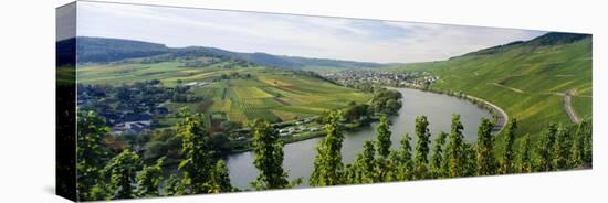 Vineyards Along Moselle River, Mosel-Saar-Ruwer, Germany-null-Stretched Canvas