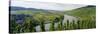 Vineyards Along Moselle River, Mosel-Saar-Ruwer, Germany-null-Stretched Canvas