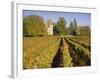 Vineyards, Aloxe Corton, Cote d'Or, Burgundy, France, Europe-John Miller-Framed Photographic Print