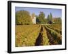 Vineyards, Aloxe Corton, Cote d'Or, Burgundy, France, Europe-John Miller-Framed Photographic Print
