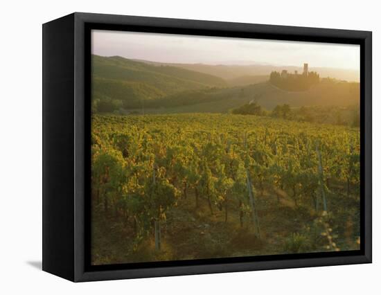 Vineyards and Ancient Monastery, Badia a Passignano, Greve, Chianti Classico, Tuscany, Italy-Michael Newton-Framed Stretched Canvas