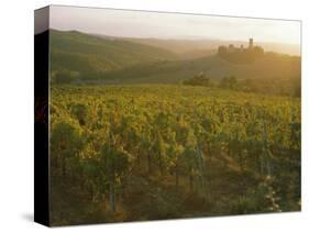 Vineyards and Ancient Monastery, Badia a Passignano, Greve, Chianti Classico, Tuscany, Italy-Michael Newton-Stretched Canvas