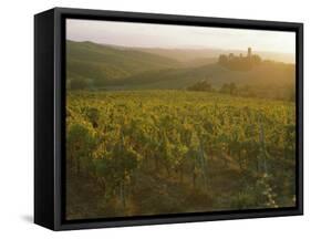 Vineyards and Ancient Monastery, Badia a Passignano, Greve, Chianti Classico, Tuscany, Italy-Michael Newton-Framed Stretched Canvas