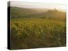 Vineyards and Ancient Monastery, Badia a Passignano, Greve, Chianti Classico, Tuscany, Italy-Michael Newton-Stretched Canvas