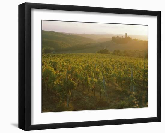 Vineyards and Ancient Monastery, Badia a Passignano, Greve, Chianti Classico, Tuscany, Italy-Michael Newton-Framed Photographic Print