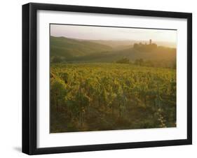 Vineyards and Ancient Monastery, Badia a Passignano, Greve, Chianti Classico, Tuscany, Italy-Michael Newton-Framed Photographic Print