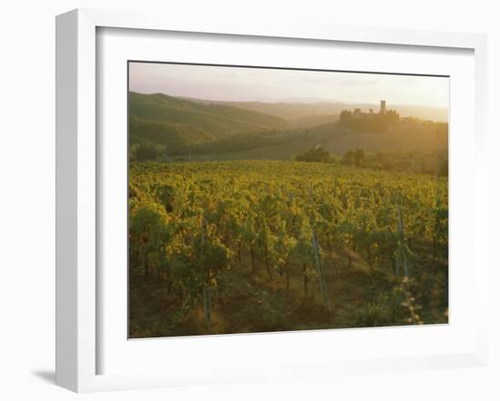 Vineyards and Ancient Monastery, Badia a Passignano, Greve, Chianti Classico, Tuscany, Italy-Michael Newton-Framed Photographic Print