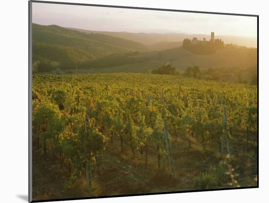 Vineyards and Ancient Monastery, Badia a Passignano, Greve, Chianti Classico, Tuscany, Italy-Michael Newton-Mounted Photographic Print