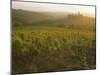 Vineyards and Ancient Monastery, Badia a Passignano, Greve, Chianti Classico, Tuscany, Italy-Michael Newton-Mounted Photographic Print