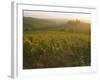 Vineyards and Ancient Monastery, Badia a Passignano, Greve, Chianti Classico, Tuscany, Italy-Michael Newton-Framed Photographic Print