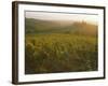 Vineyards and Ancient Monastery, Badia a Passignano, Greve, Chianti Classico, Tuscany, Italy-Michael Newton-Framed Photographic Print