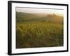 Vineyards and Ancient Monastery, Badia a Passignano, Greve, Chianti Classico, Tuscany, Italy-Michael Newton-Framed Photographic Print