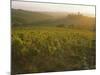 Vineyards and Ancient Monastery, Badia a Passignano, Greve, Chianti Classico, Tuscany, Italy-Michael Newton-Mounted Photographic Print