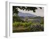 Vineyards and Cactus with Montserrat Mountain, Catalunya, Spain-Janis Miglavs-Framed Photographic Print