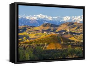 Vineyards and Castle, Grinzane Cavour, Cuneo District, Langhe-Peter Adams-Framed Stretched Canvas