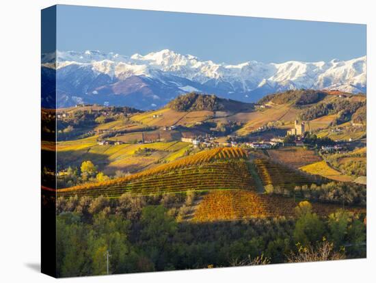 Vineyards and Castle, Grinzane Cavour, Cuneo District, Langhe-Peter Adams-Stretched Canvas